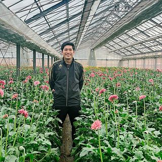神奈川県平塚市にある松木園芸の松木一将さん。市内で唯一のガーベラ生産者でもあり、県内トップの生産量を誇ります。