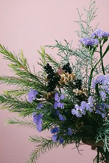 ヒオウギは爆ぜた実が茶色くなってしていますが。元々なのでご安心を。