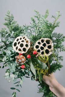 ハスの実は折れてしまう可能性があるので、2本お届けします。