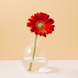 小さな口でお花がきゅっとまとまり、1輪でもバランスよく、ブーケはお花がふんわり広がるように飾ることができます。