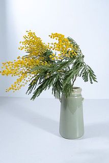 今の季節だとミモザがお似合い。