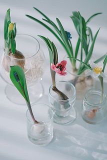 今回発送分からチューリップが必ず入ります🌷