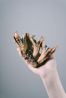 大きさには個体差がございます。