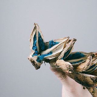 コバルトブルーがお洒落💎