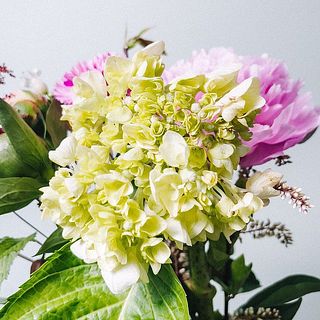 花びらは一部茶色くなっていることも。気になる場合はやさしく取ってください。