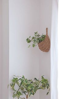グリーンを入れるのもおすすめです。
