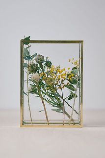植物標本のような雰囲気にも。ドライフラワーを入れるのも◎
