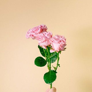 バラの外側の花びらは傷が付いていることも。内側を守る役割のため、そのままお届けします。気になる場合は優しく取ってあげてください。