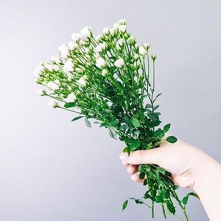 トゲが鋭いのでご注意ください。