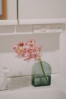 洗面所にさりげなく飾るのをぜひぜひ試してみてほしいです！一気におしゃれな空間にしてくれます（写真は別の品種）。