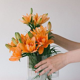 1本に花がたくさんつくのでボリュームたっぷり。咲き終わった花は取り除いてあげると、つぼみが咲きやすくなります。