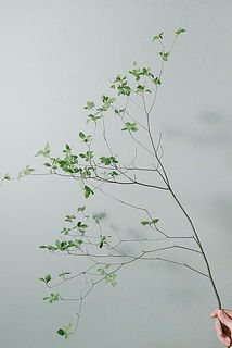 1本あたりのボリューム感