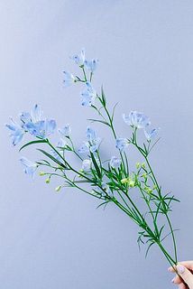 ぴょんぴょん跳ねるイルカのようなお花です🐬