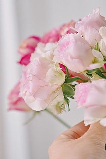 外側の花びらには傷がある場合がございます（内側の花びらを守る役割なのです）。気になる場合は取り除いてください。
