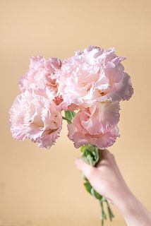 形、花付きには個体差があります。