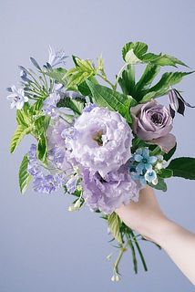 お届け例（内容は毎回異なります）