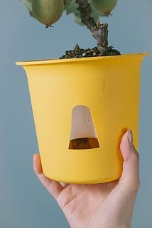 水切れが1番NG。底面給水なので安心。穴からお水を入れてください。