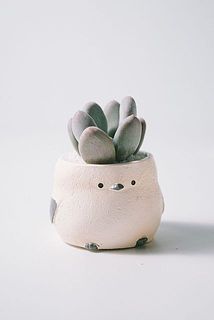 お届け例5