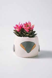 後ろ姿もかわいい！