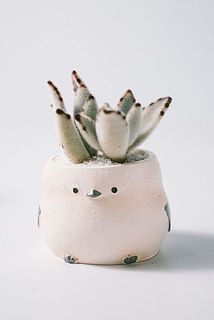 お届け例4