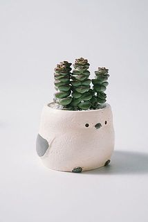 お届け例3