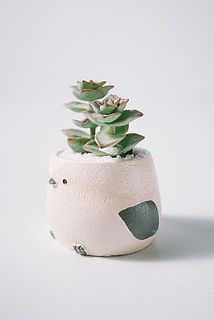 お届け例2