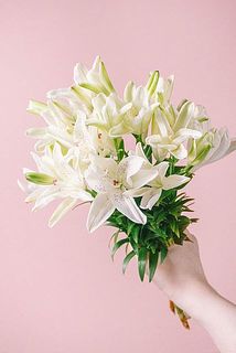1本に花がたくさんつくのでボリュームたっぷり。咲き終わった花は取り除いてあげると、つぼみが咲きやすくなります。
