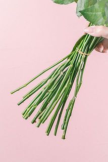 スパイラルに組んであるのでそのまま飾ることができます。
