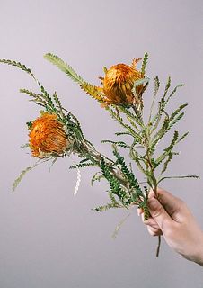 花の形には個体差がございます。