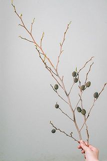 枝ぶりや実つきには個体差があります。