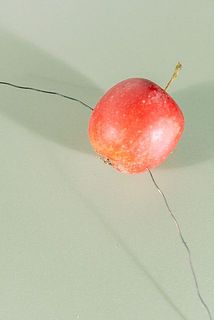 りんごはワイヤーを通して後から結びつけると綺麗に仕上がります🍎
