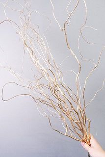 たっぷりボリュームでお届け！花器にたっぷり飾ってみて。