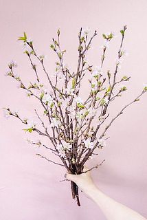 啓翁桜は9〜10本お届けします🌸