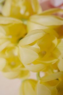 気分が明るくなるハッピーカラー🍋