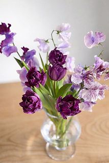 チューリップは八重咲きなので、開花が進むとどんどん表情がかわります。