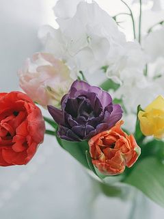 カラフルなチューリップ入り。