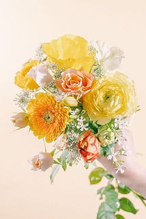 お届け例（内容は毎回異なります）