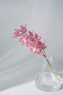 花器「ファゴット」もおすすめです。